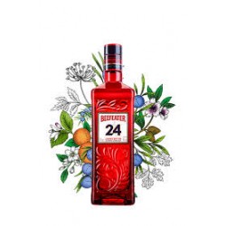 BEEFEATER(24)DRY GIN 70CL